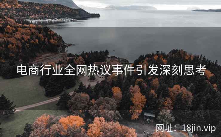 电商行业全网热议事件引发深刻思考
