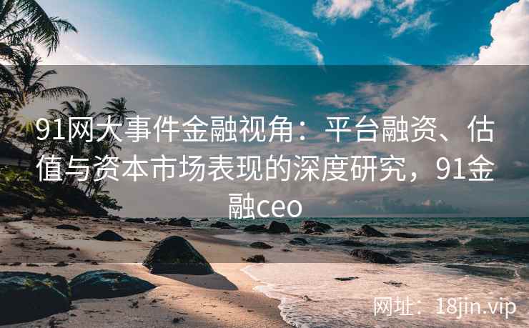 91网大事件金融视角：平台融资、估值与资本市场表现的深度研究，91金融ceo