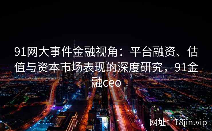 91网大事件金融视角：平台融资、估值与资本市场表现的深度研究，91金融ceo