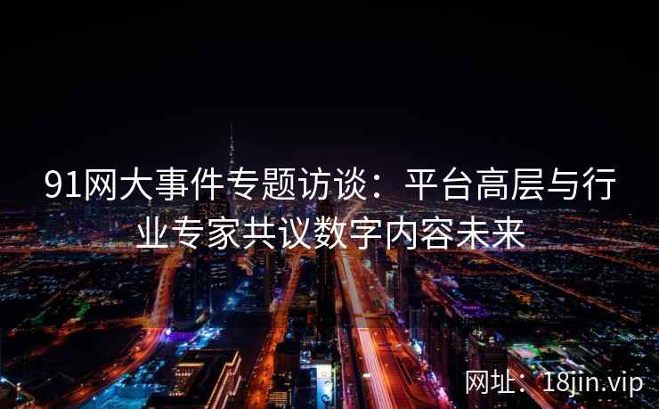 91网大事件专题访谈：平台高层与行业专家共议数字内容未来