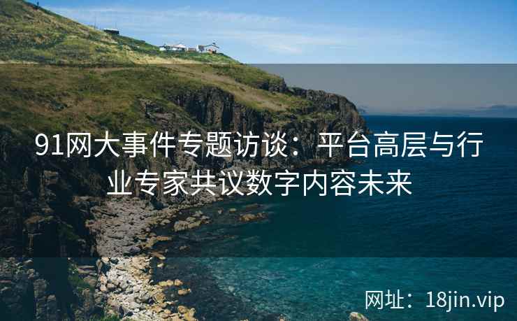 91网大事件专题访谈：平台高层与行业专家共议数字内容未来