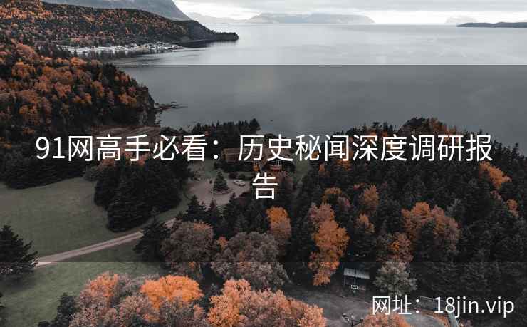 91网高手必看：历史秘闻深度调研报告