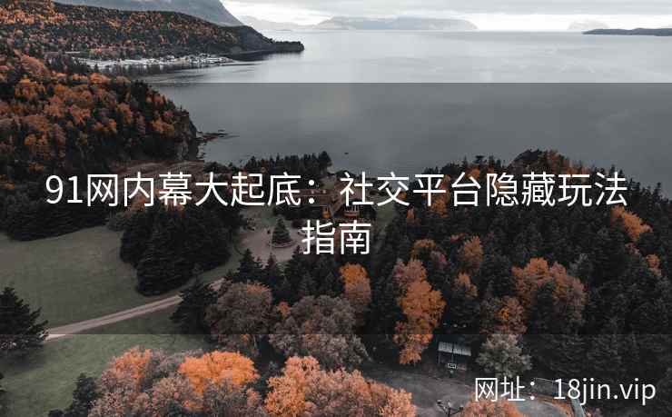 91网内幕大起底：社交平台隐藏玩法指南