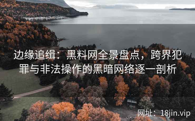 边缘追缉：黑料网全景盘点，跨界犯罪与非法操作的黑暗网络逐一剖析