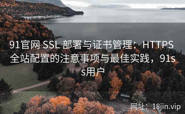 91官网 SSL 部署与证书管理：HTTPS 全站配置的注意事项与最佳实践，91ss用户
