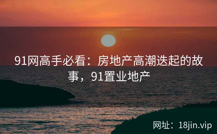 91网高手必看：房地产高潮迭起的故事，91置业地产