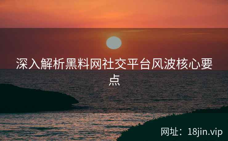 深入解析黑料网社交平台风波核心要点