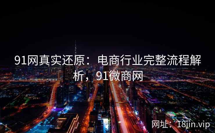 91网真实还原：电商行业完整流程解析，91微商网