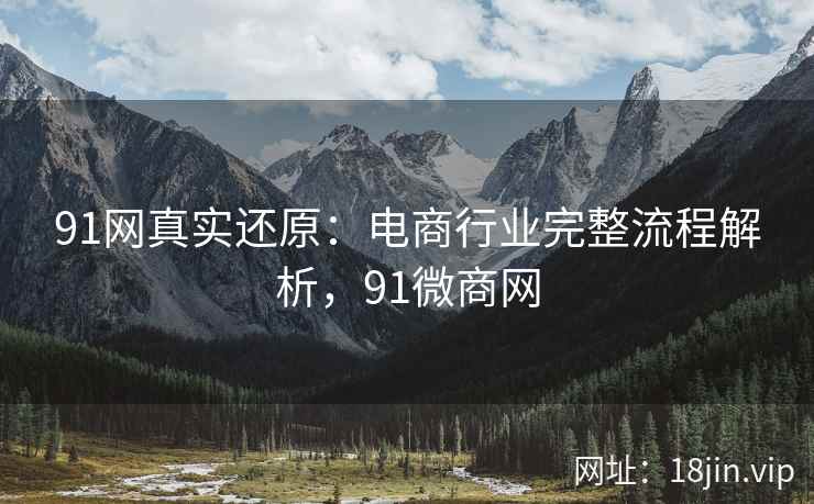 91网真实还原：电商行业完整流程解析，91微商网